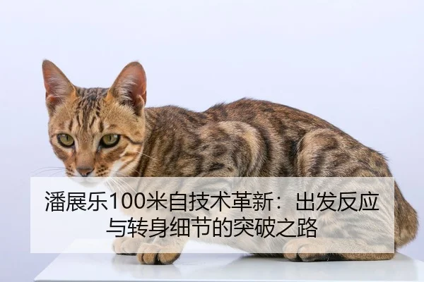 pan-zhan-le-mi-zi-ji-shu-ge-xin-chu-fa-fan-ying-yu-zhuan-shen-xi-jie-de-tu-po-zhi-lu-3-468.jpg