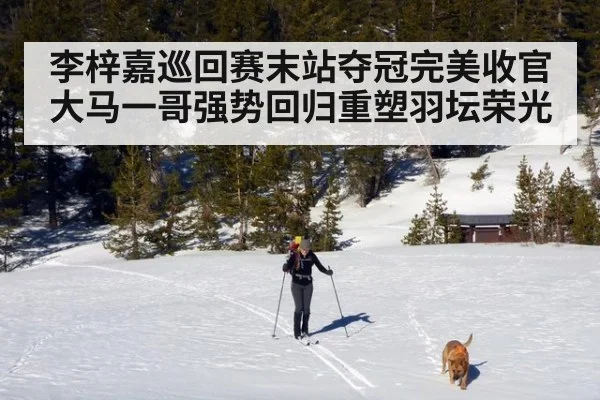 李梓嘉巡回赛末站夺冠完美收官 大马一哥强势回归重塑羽坛荣光