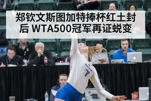 郑钦文斯图加特捧杯红土封后 WTA500冠军再证蜕变